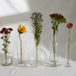 elegant various shaped glass vases with tender assorted flowers in daylight