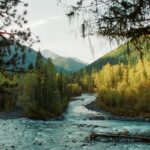 river in forest in valley